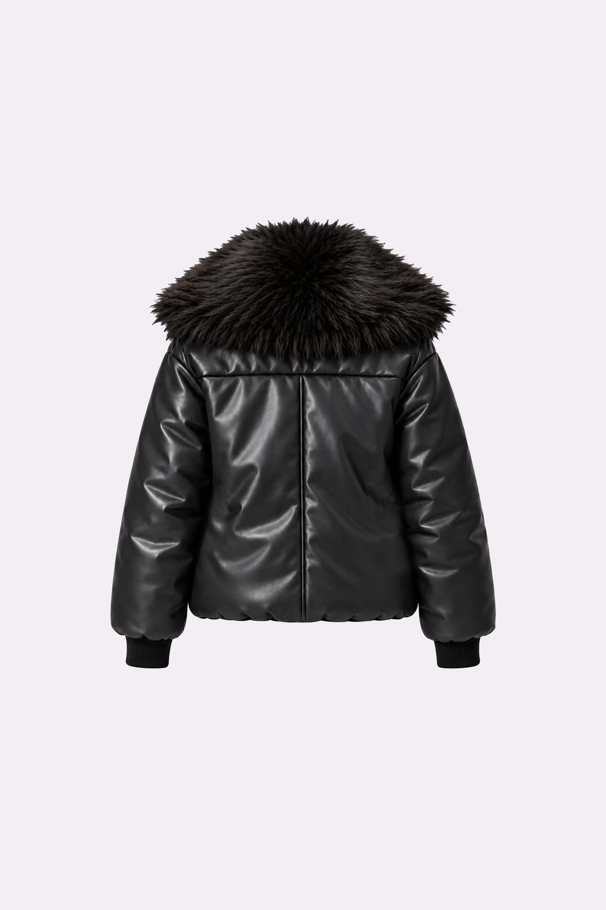 Black Fur Collar Leather Jacket