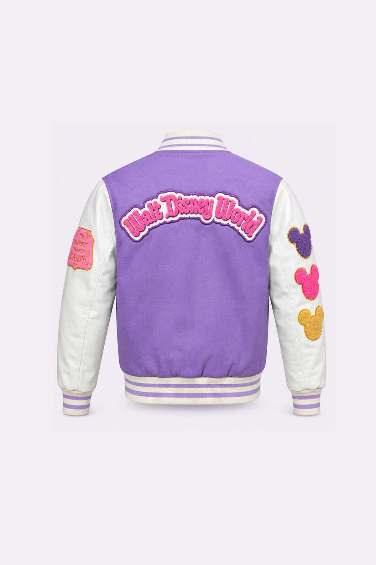 Disney World Varsity Jacket - back view